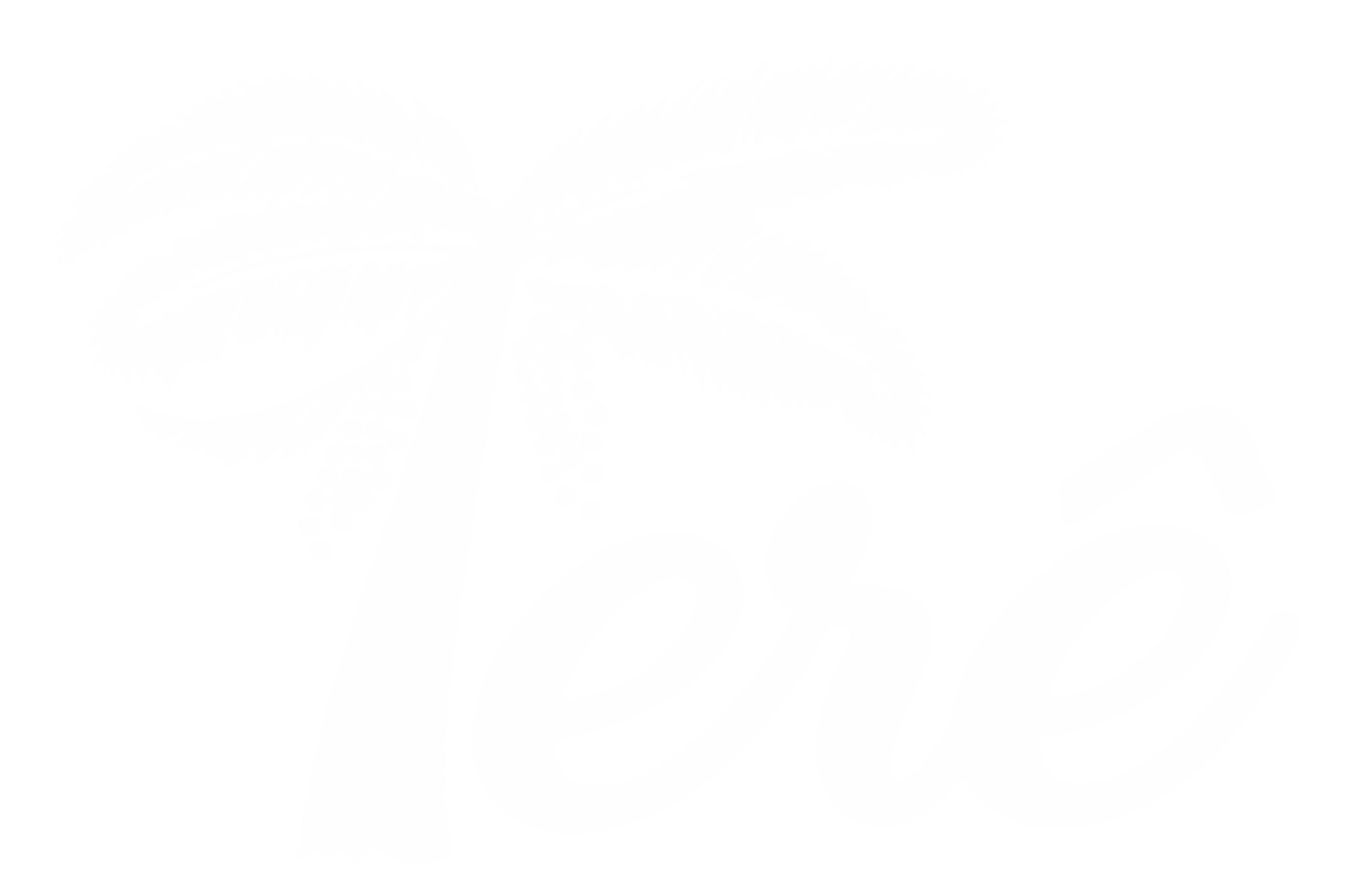 Terê Sorvetes e Açaí, Parque São Pedro